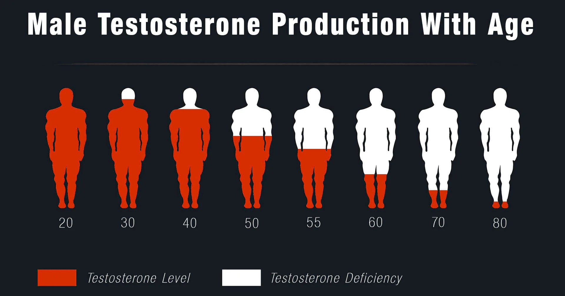 5 Stylish Ideas For Your Lean Muscle with Testosterone Cypionate